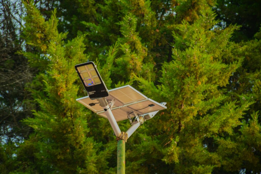 A solar-powered street light set against vibrant green conifer trees, symbolizing sustainable energy.